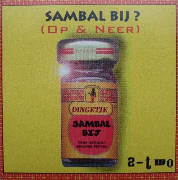 DINGETJE CD SINGLE SAMBAL BIJ, 6 singles of meer, Ophalen of Verzenden, Zo goed als nieuw, Pop