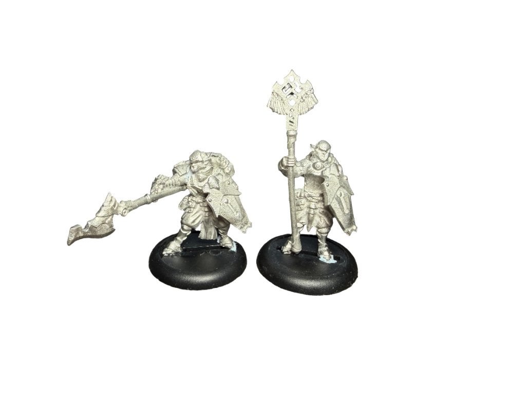 Warmachine Retribution Scyrah Houseguard Halberdier Officer, ., Ophalen of Verzenden, Zo goed als nieuw, .