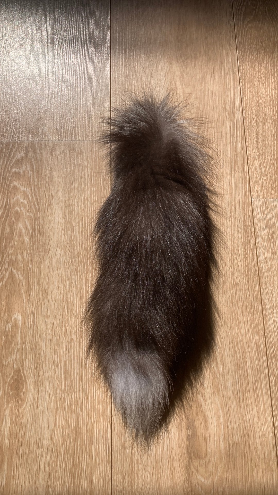 Therian tail, Ophalen of Verzenden, Zo goed als nieuw