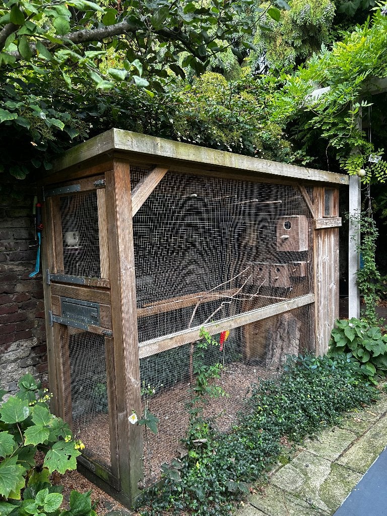 Volière , bouwpakket ,  2,50 bij 0,80 meter, Dieren en Toebehoren, Ophalen, Gebruikt, Hout, Volière