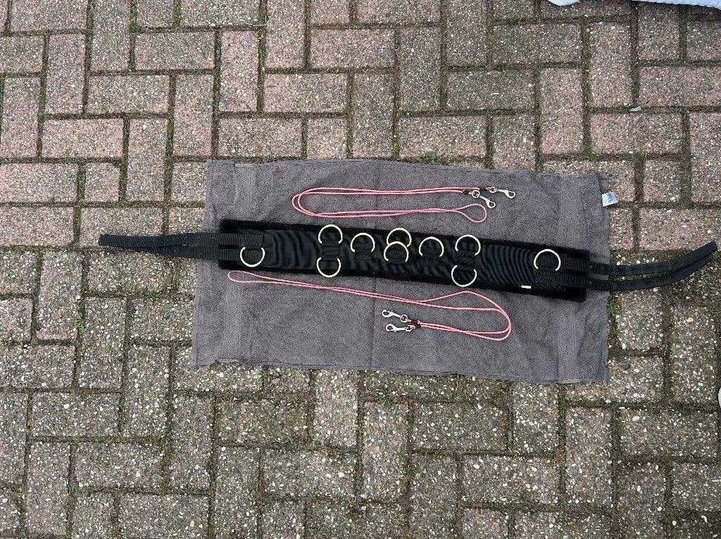 Longeer singel pony, Gebruikt, Overige disciplines, Zwart, Singel