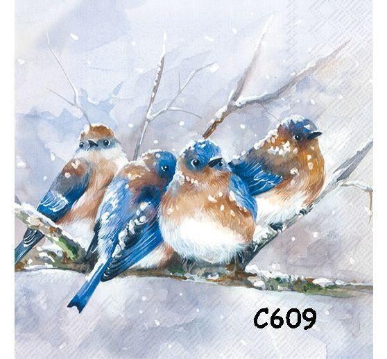 Servetten decoupage/bullet journal * vogels C609, Verzenden, Nieuw