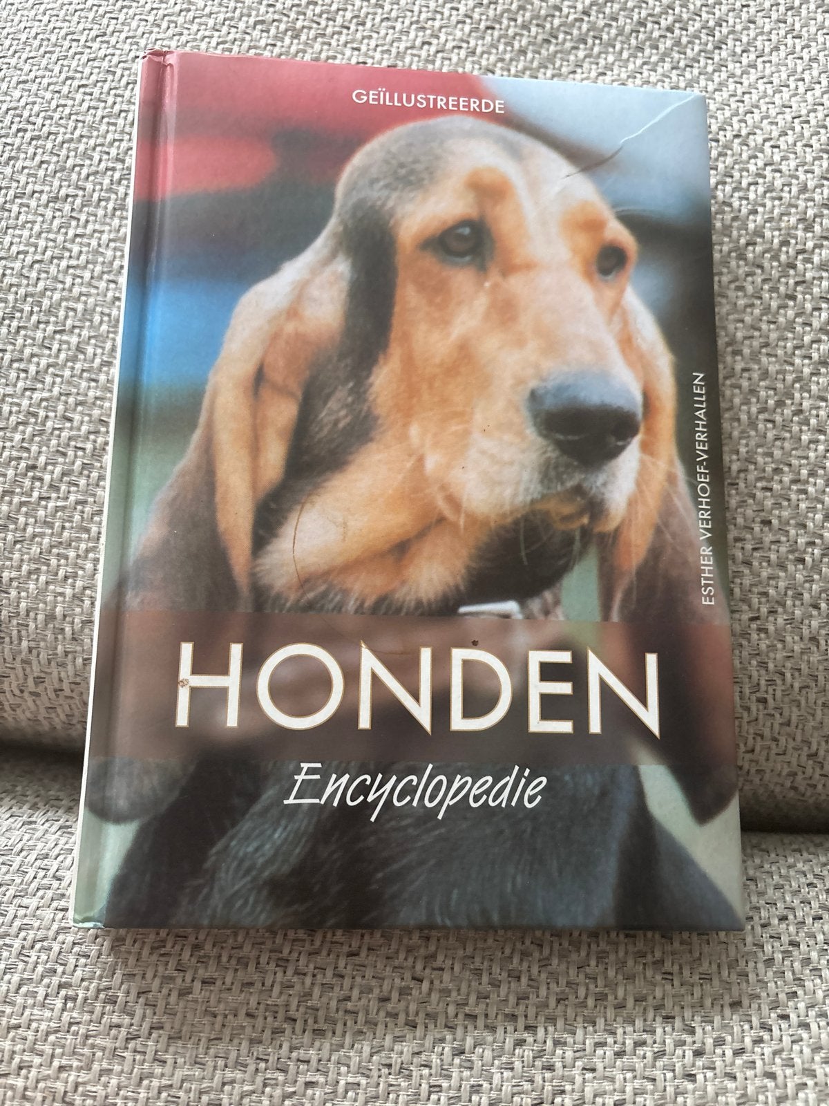 Geïllustreerde Honden Encyclopedie - Esther Verhoef-Verhalle, Ophalen of Verzenden, Zo goed als nieuw, Dieren, Los deel