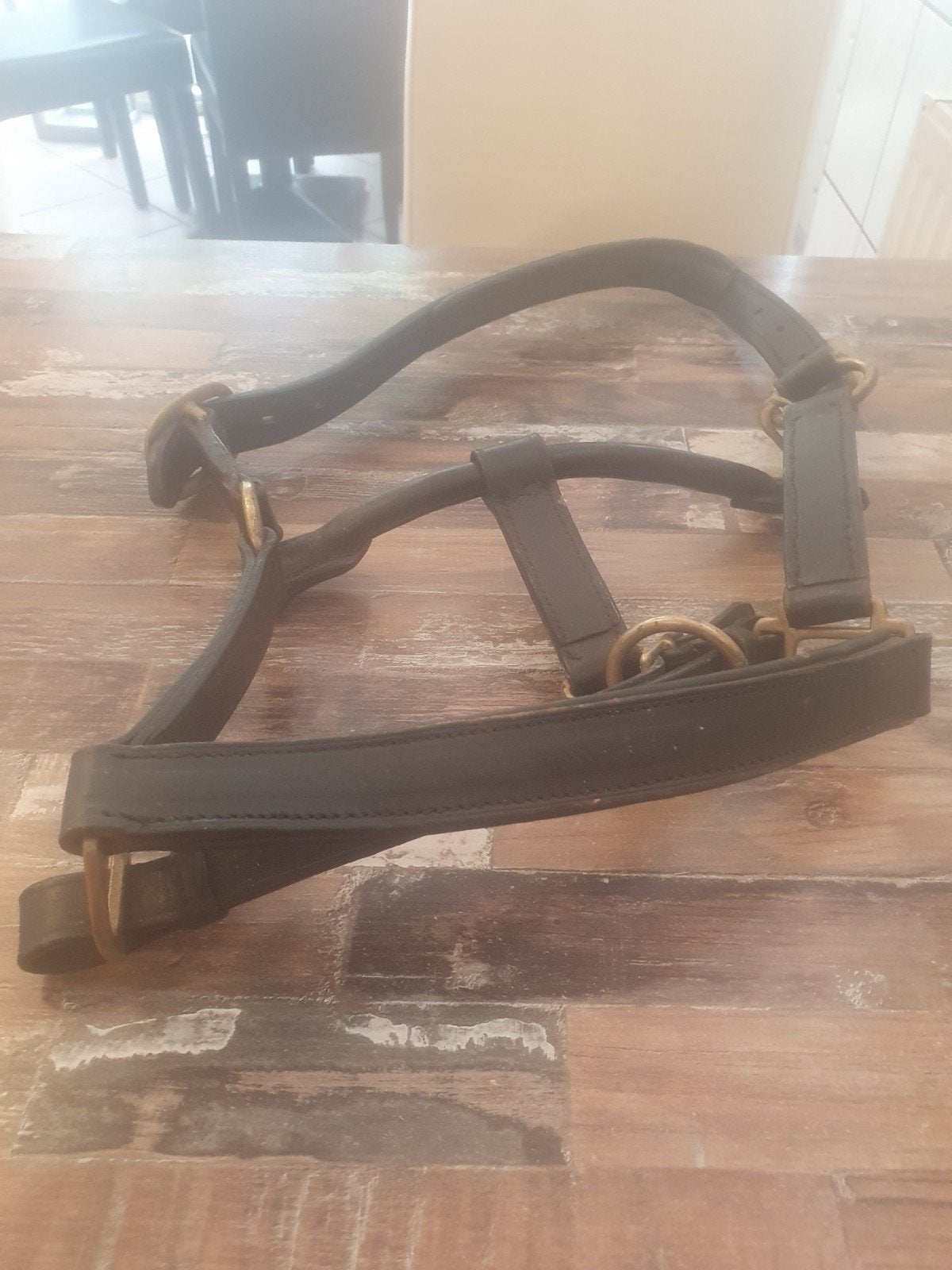 te koop nieuwe zwart leren halsters 7 stuks cob maat, Dieren en Toebehoren, Ophalen, Zwart, Cob