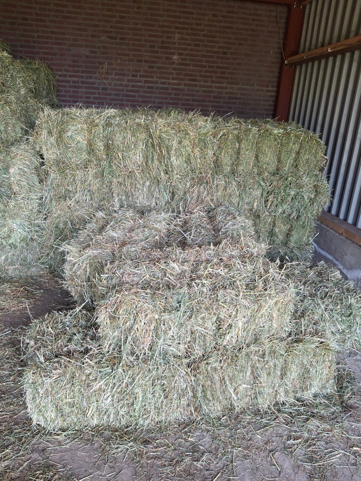 Te koop eerste snede hooi, Ophalen, Vee