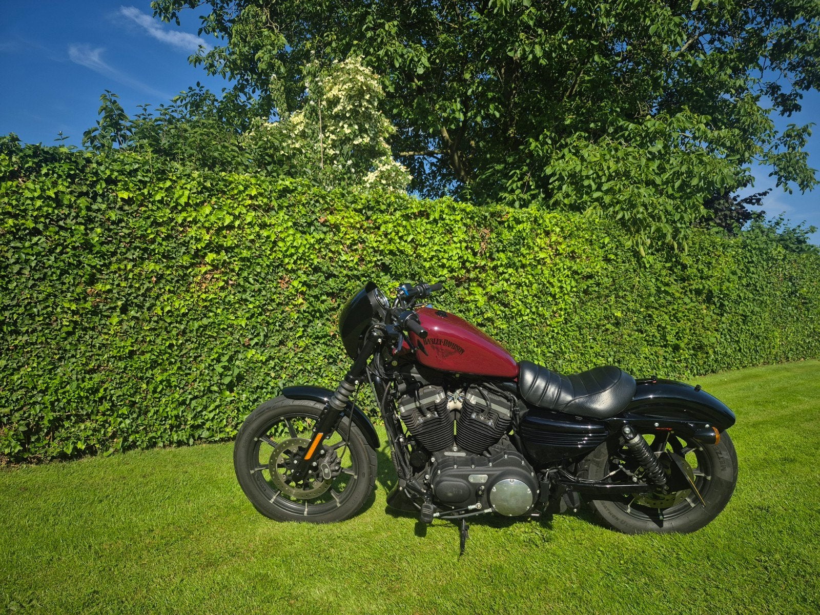 Harley-Davidson Sportster Iron 883 -, Particulier