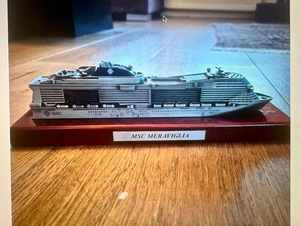 MSC MERVIGLIA, Ophalen