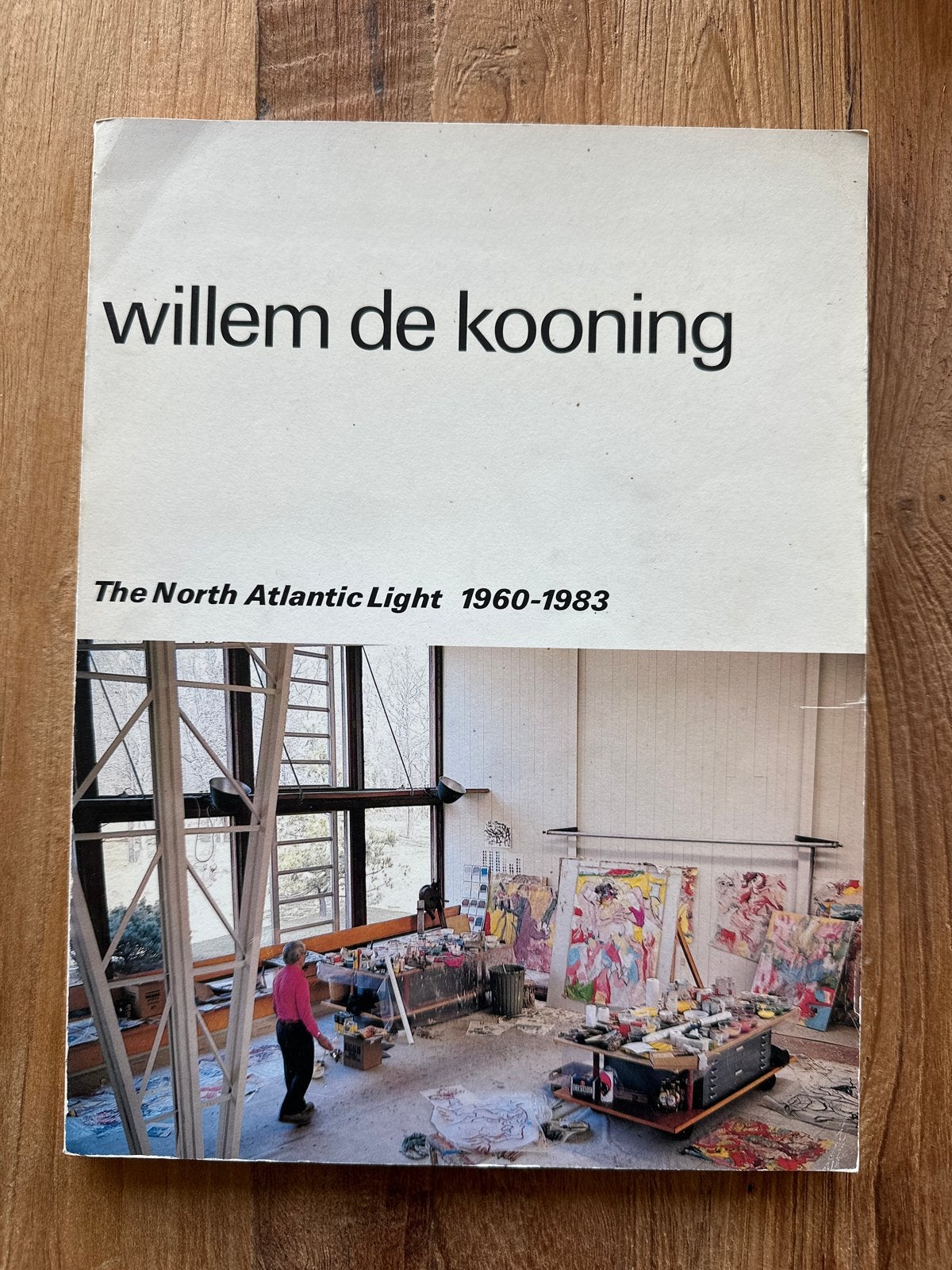 Willem de Kooning: The North Atlantic Light 1960-1983, Ophalen of Verzenden, Gelezen, Schilder- en Tekenkunst