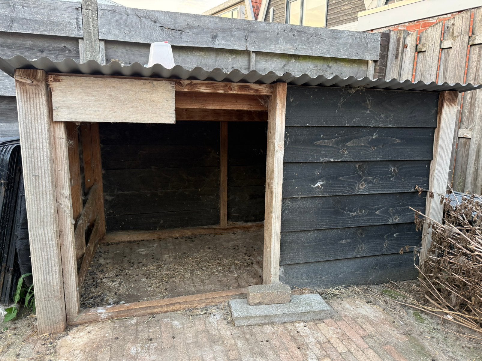 Kleinvee schuilstal, Dieren en Toebehoren, Schapen, Geiten en Varkens, Meerdere dieren, Schaap