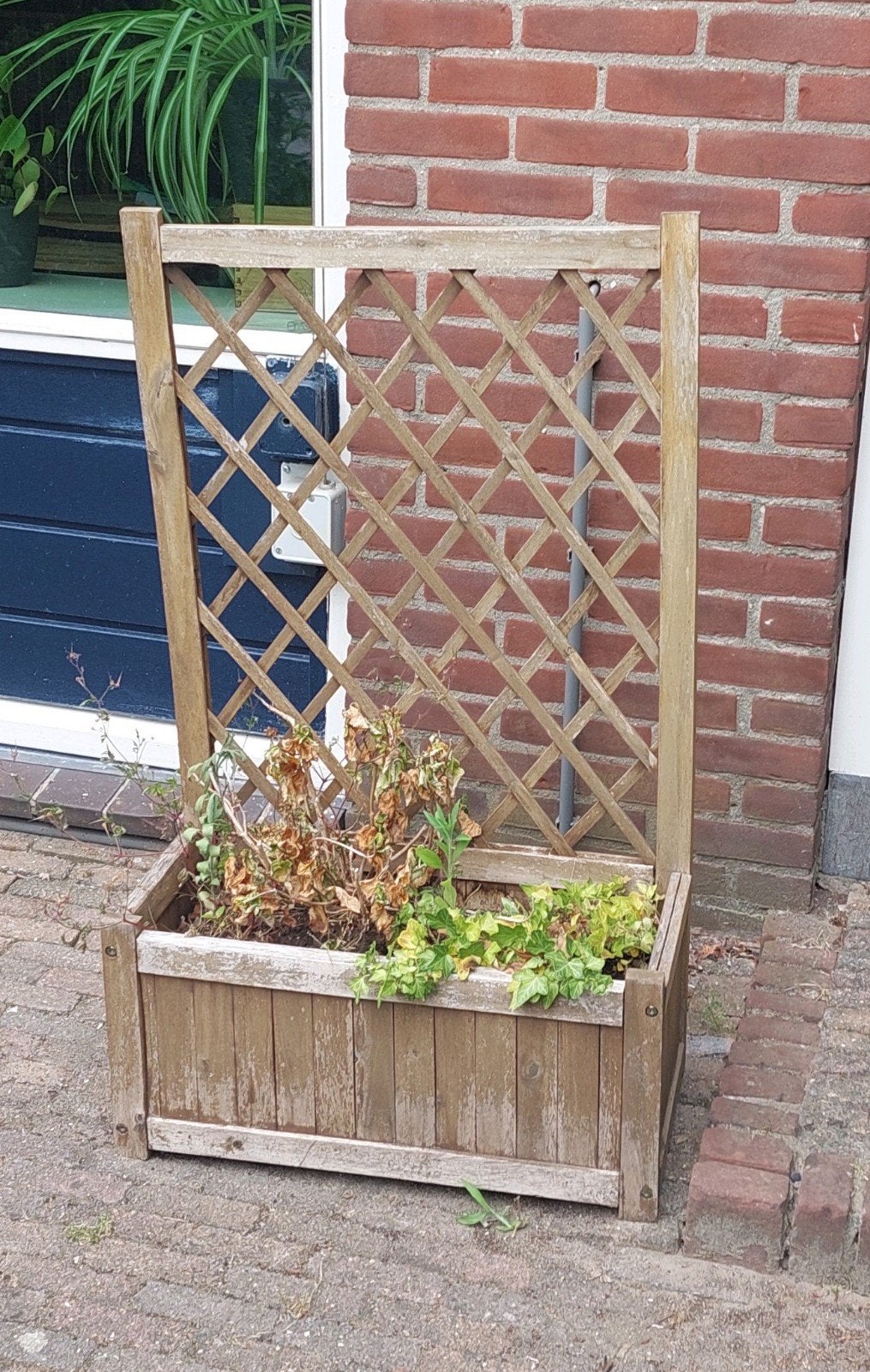 Houten plantenbak met klimrek, Tuin en Terras, Tuinschermen, Ophalen, Gebruikt, Hout, 150 tot 200 cm