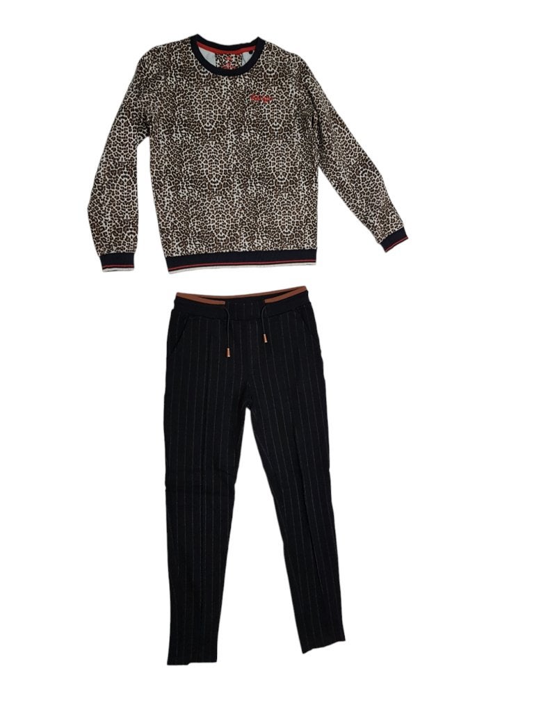 Geweldige panter sweater van de WE maat 146-152., Kinderen en Baby's, Kinderkleding | Maat 146, Trui of Vest, Zo goed als nieuw