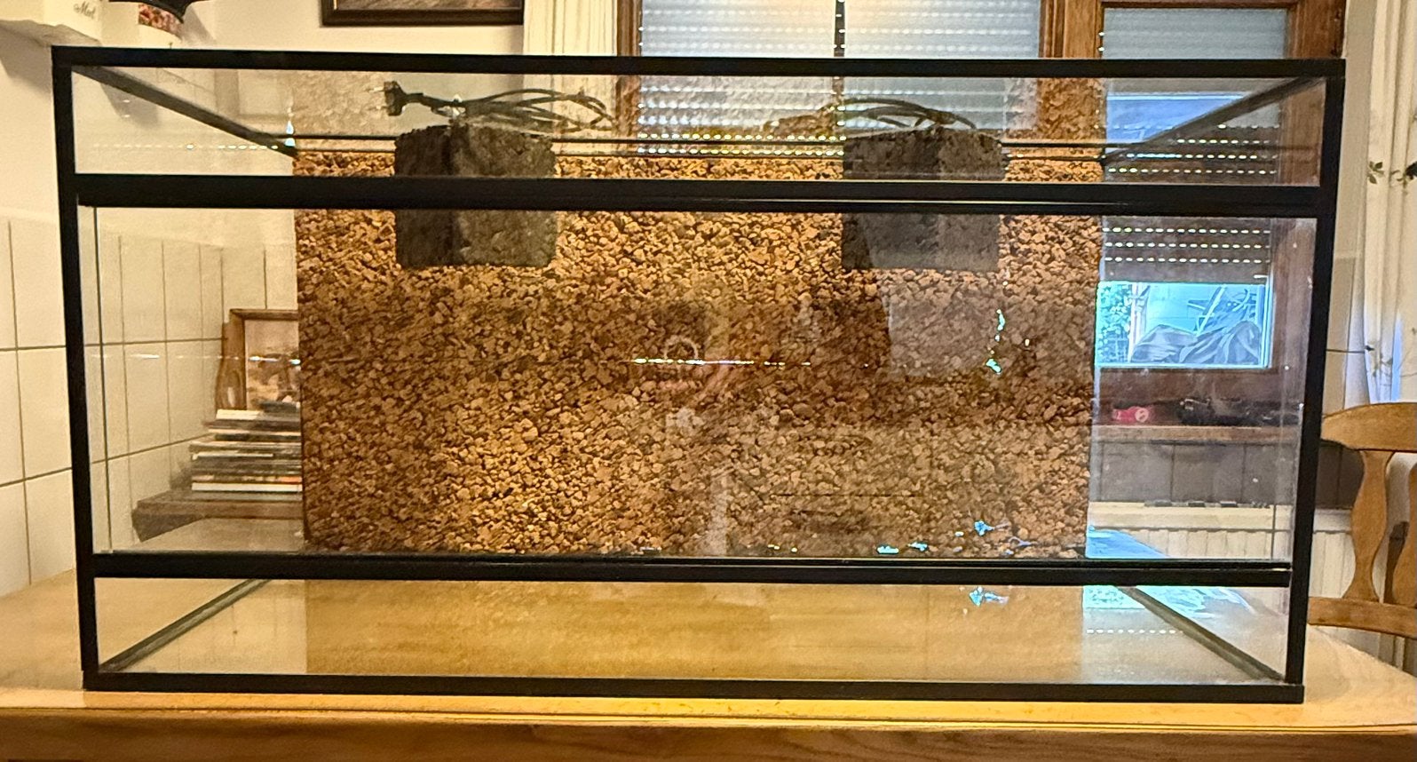 Terrarium 100x50x50, Ophalen, Zo goed als nieuw, Terrarium of Paludarium