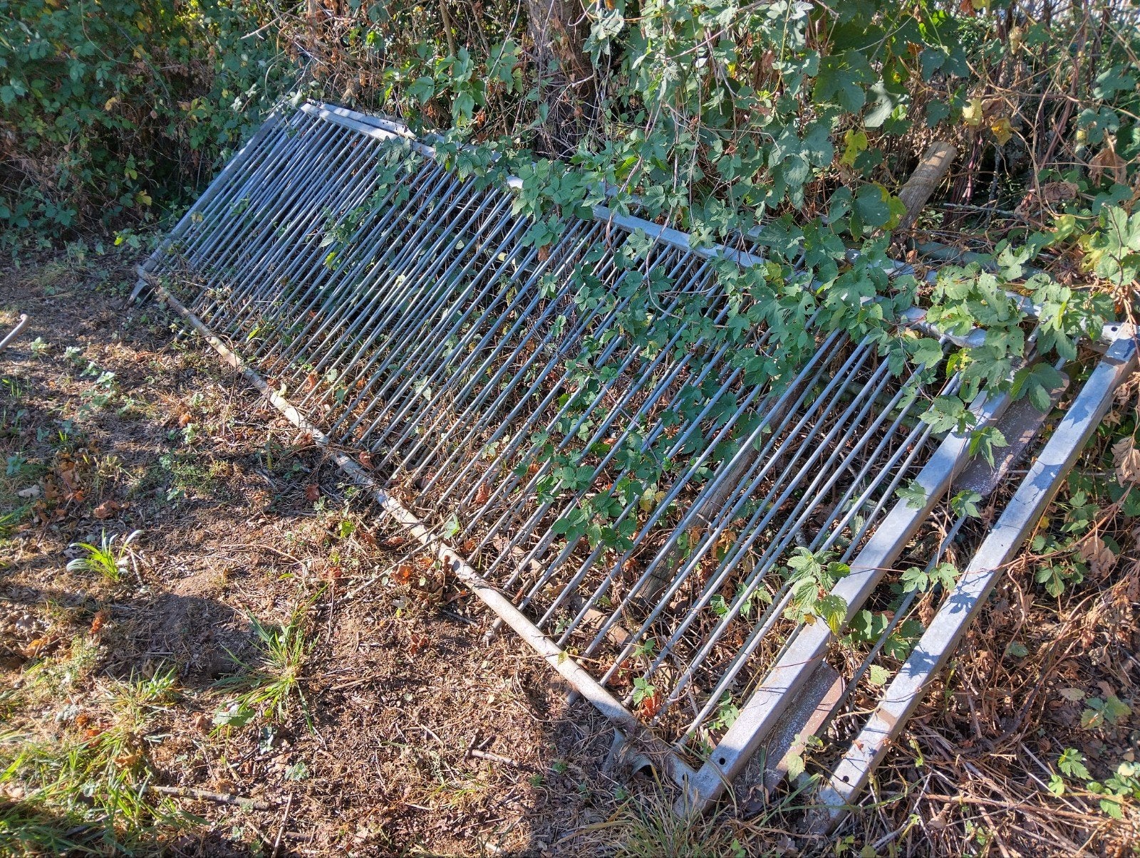 Spijlenhekwerk / grote poort, Tuin en Terras, Ophalen, Gebruikt, IJzer, Spijlenhekwerk