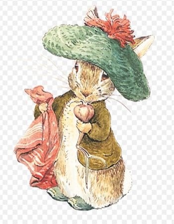 borduurpatroon  Benjamin Bunny  uit de serie Beatrix Potter, Ophalen of Verzenden, Zo goed als nieuw, Handborduren, Patroon