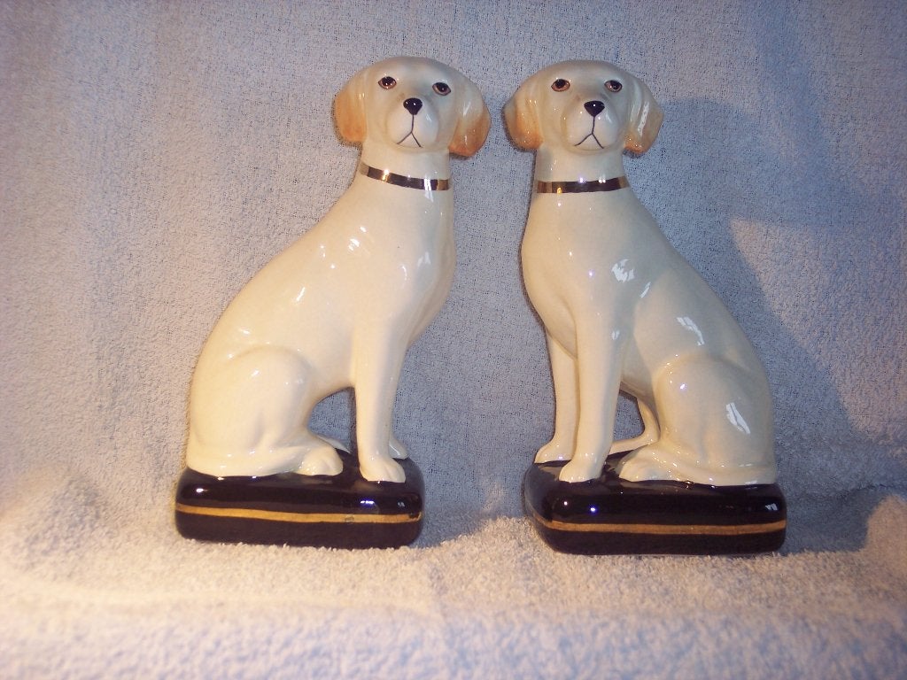 LABRADOR / GOLDEN RETRIEVER / JACHTHOND / CURIOSA BEELDEN, Ophalen of Verzenden