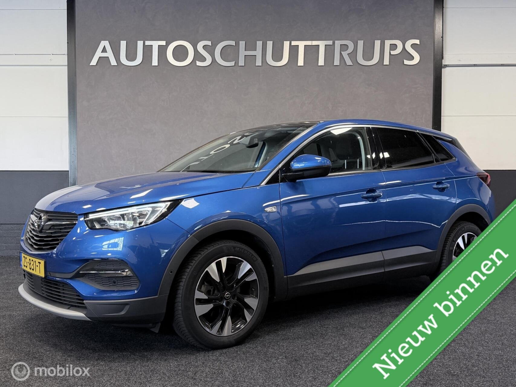 Opel Grandland X 1.2 Turbo Business Executive AUTOMAAT / PAN, Auto's, Gebruikt, Euro 6, 1199 cc, Blauw