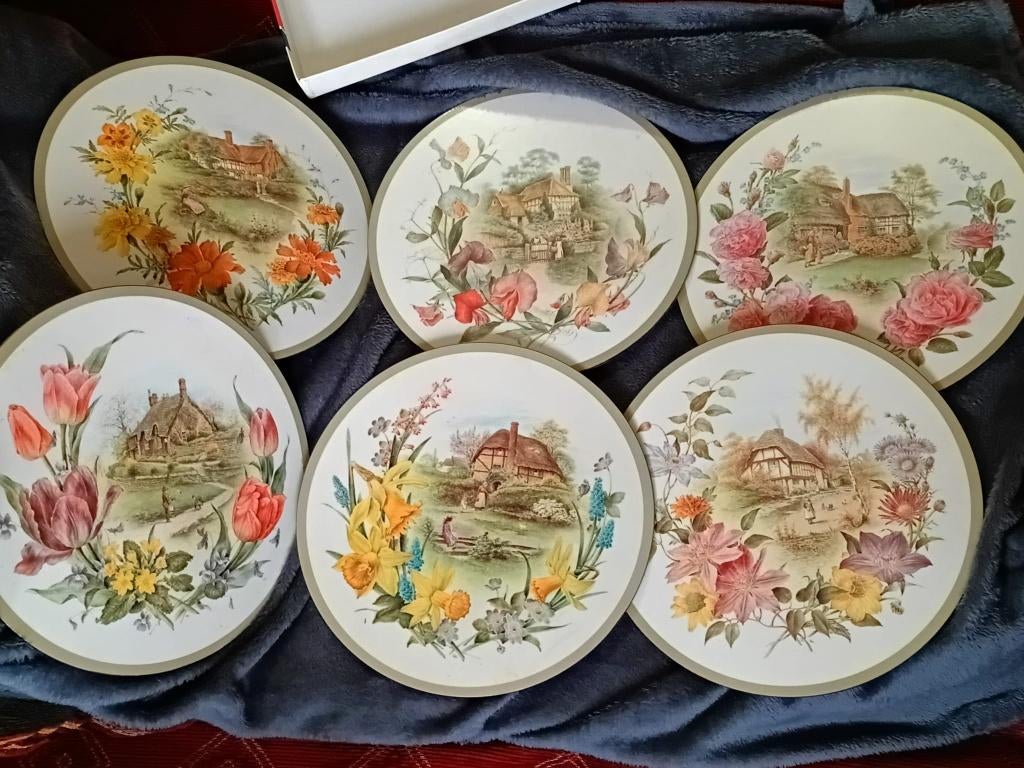 Placemats uit Engeland (Firma Pimpernel), Ophalen of Verzenden, Zo goed als nieuw, Bord