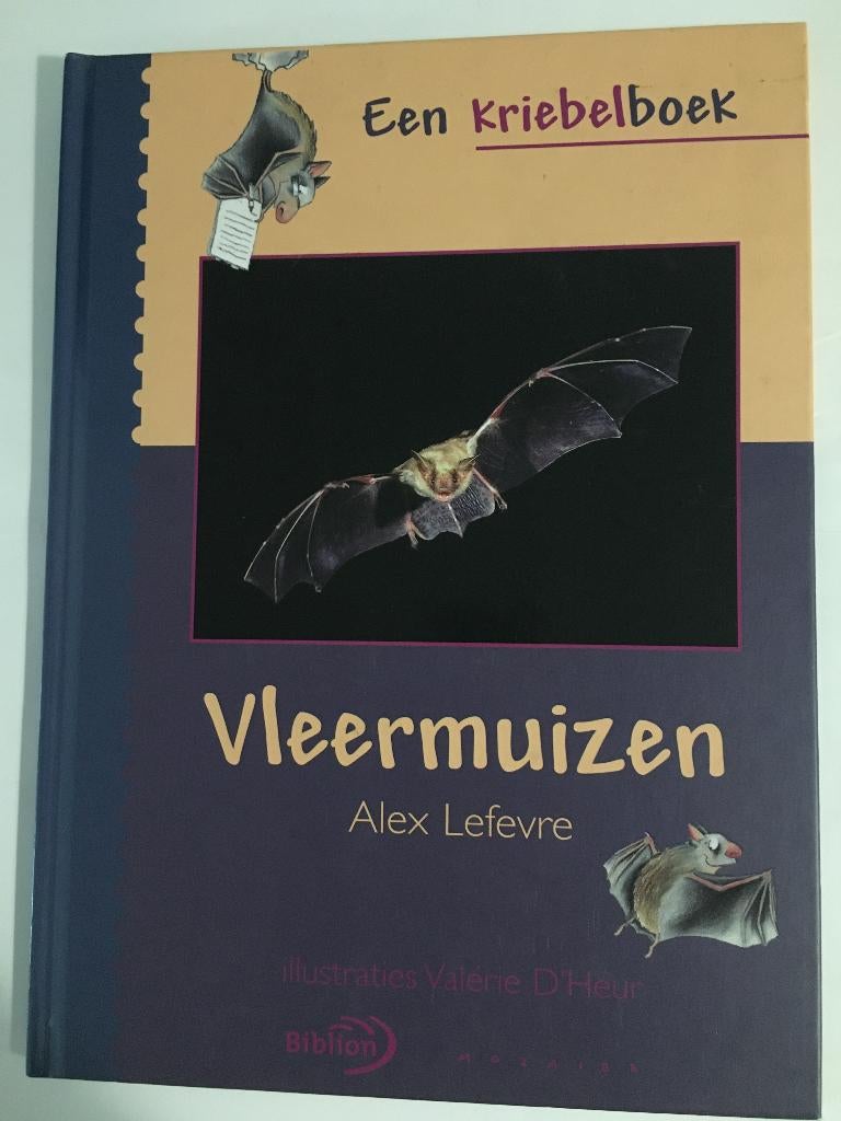 Vleermuizen. Een kriebelboek, Ophalen of Verzenden, Zo goed als nieuw, Natuur algemeen