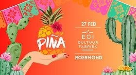 Pina Roermond 27-2-2026 4 kaartjes, Tickets en Kaartjes, Twee personen