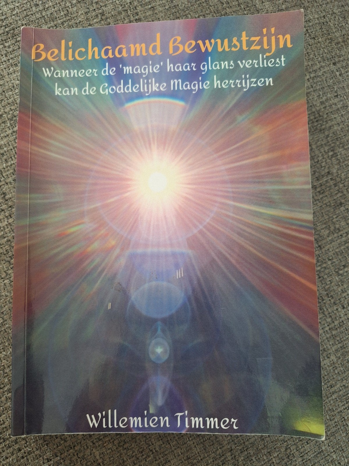 Willemien Timmer - Belichaamd Bewustzijn, Achtergrond en Informatie, Spiritualiteit algemeen, Ophalen of Verzenden, Willemien Timmer