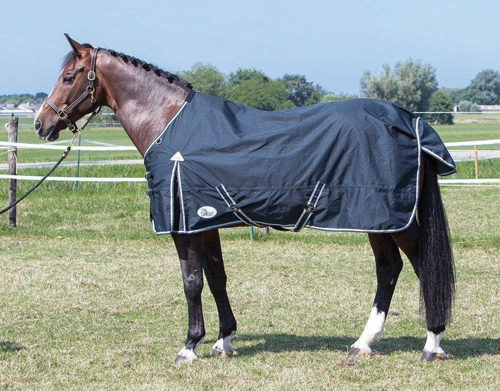 De Goedkoopste Harry's Horse outdoor regen en winterdekens !, Dubbele borstsluiting, Nieuw, Ophalen of Verzenden, Harry's Horse