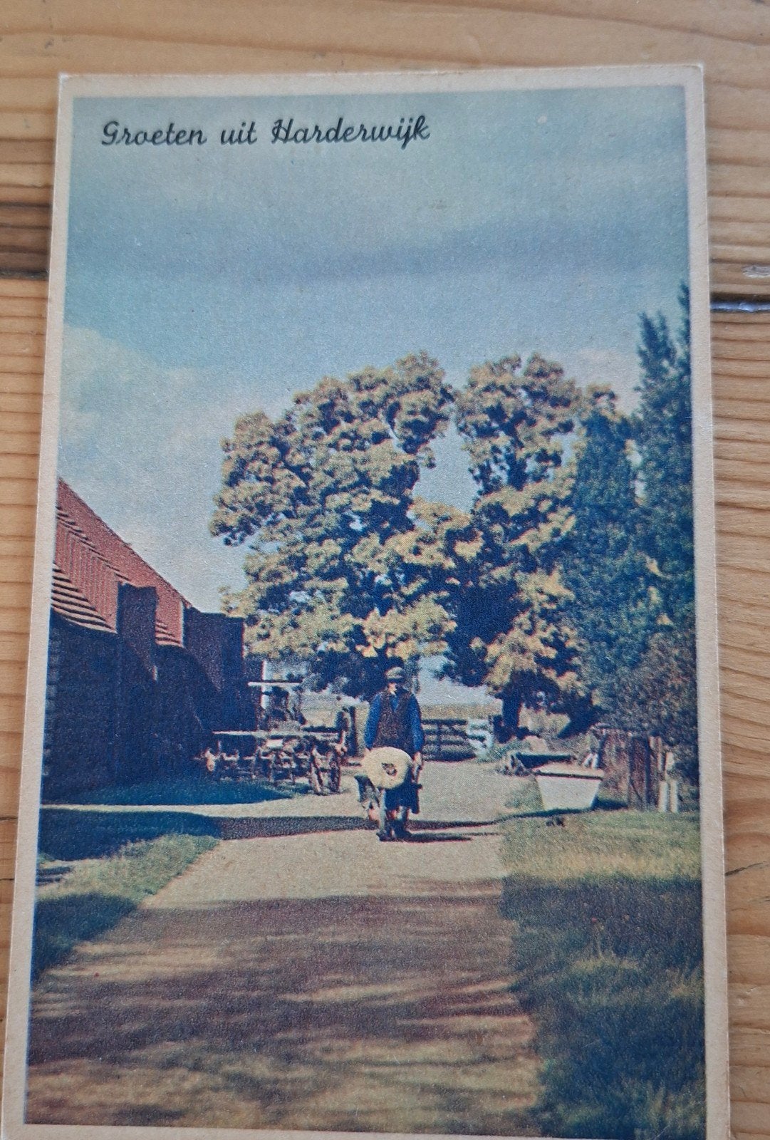 blanco kaart beautiful holland groeten uit harderwijk, Verzamelen, Ansichtkaarten | Nederland, Ophalen of Verzenden, 1980 tot heden