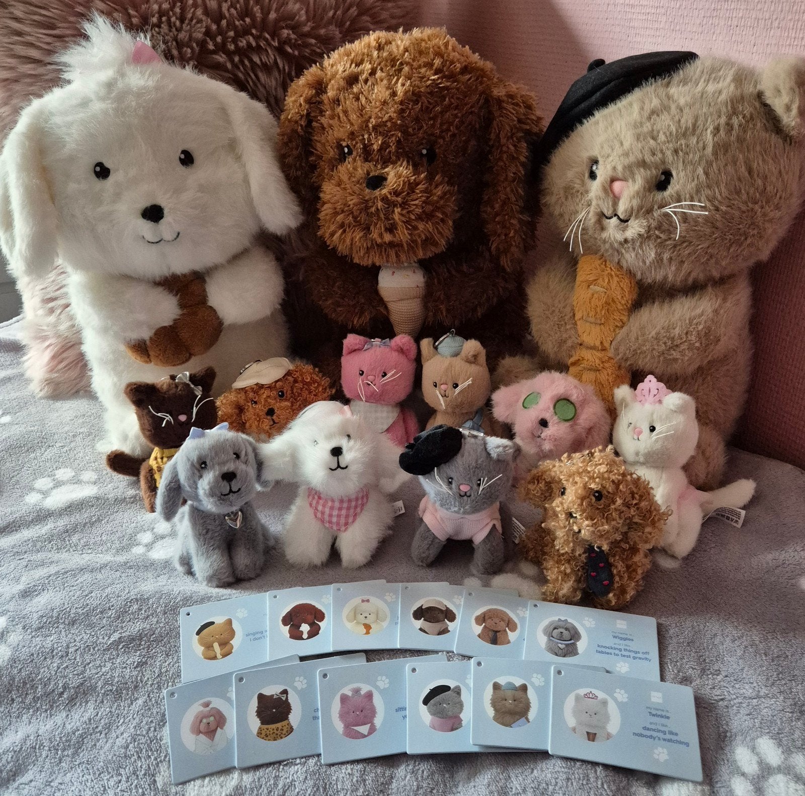 Hema adopteer knuffels honden & katten NIEUW, Kinderen en Baby's, Speelgoed | Knuffels en Pluche, Hema, Overige karakters, Nieuw