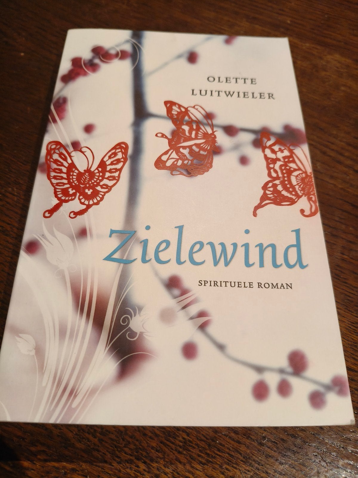 Zielewind - Olette Luitwieler (Spirituele Roman), Ophalen of Verzenden