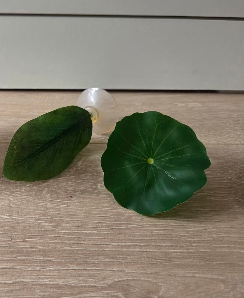 Aquarium decoratie platen, Ophalen of Verzenden