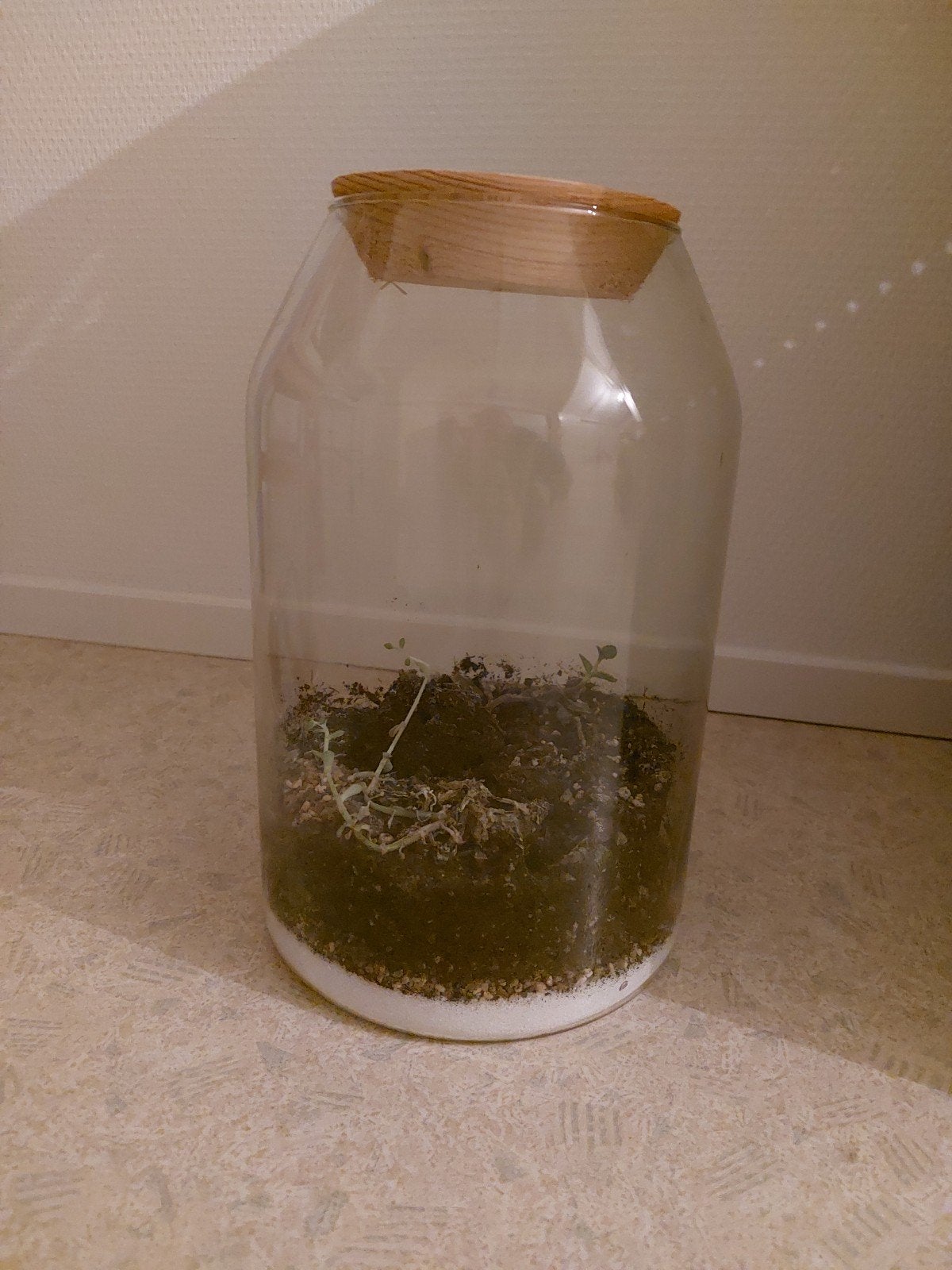Glazen vaas gratis. Ongeveer 30 cm hoog., Ophalen, Zo goed als nieuw