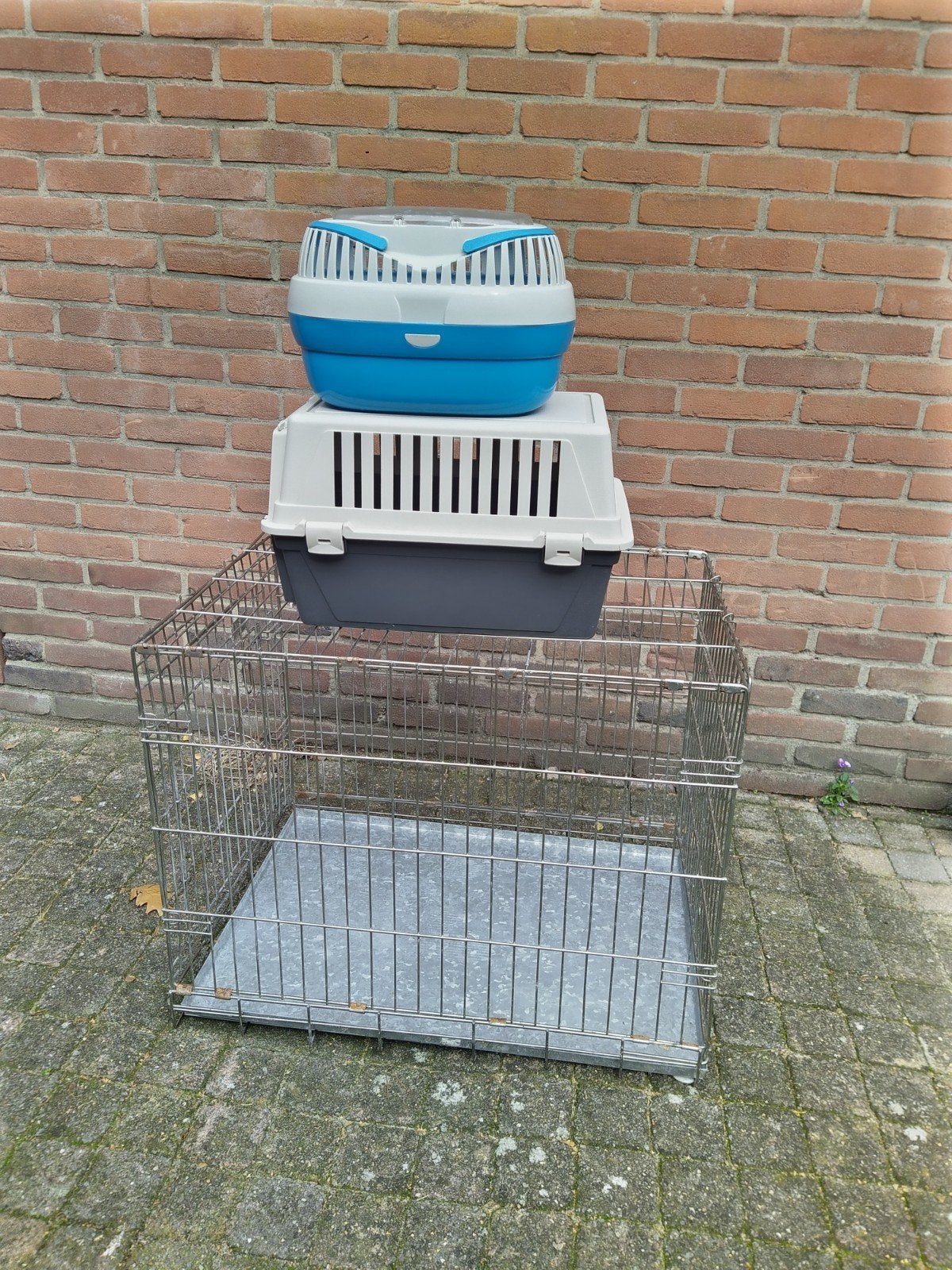 bench reisbench hond kat knaagdier, Dieren en Toebehoren, Ophalen of Verzenden, Gebruikt, Minder dan 75 cm, Minder dan 65 cm