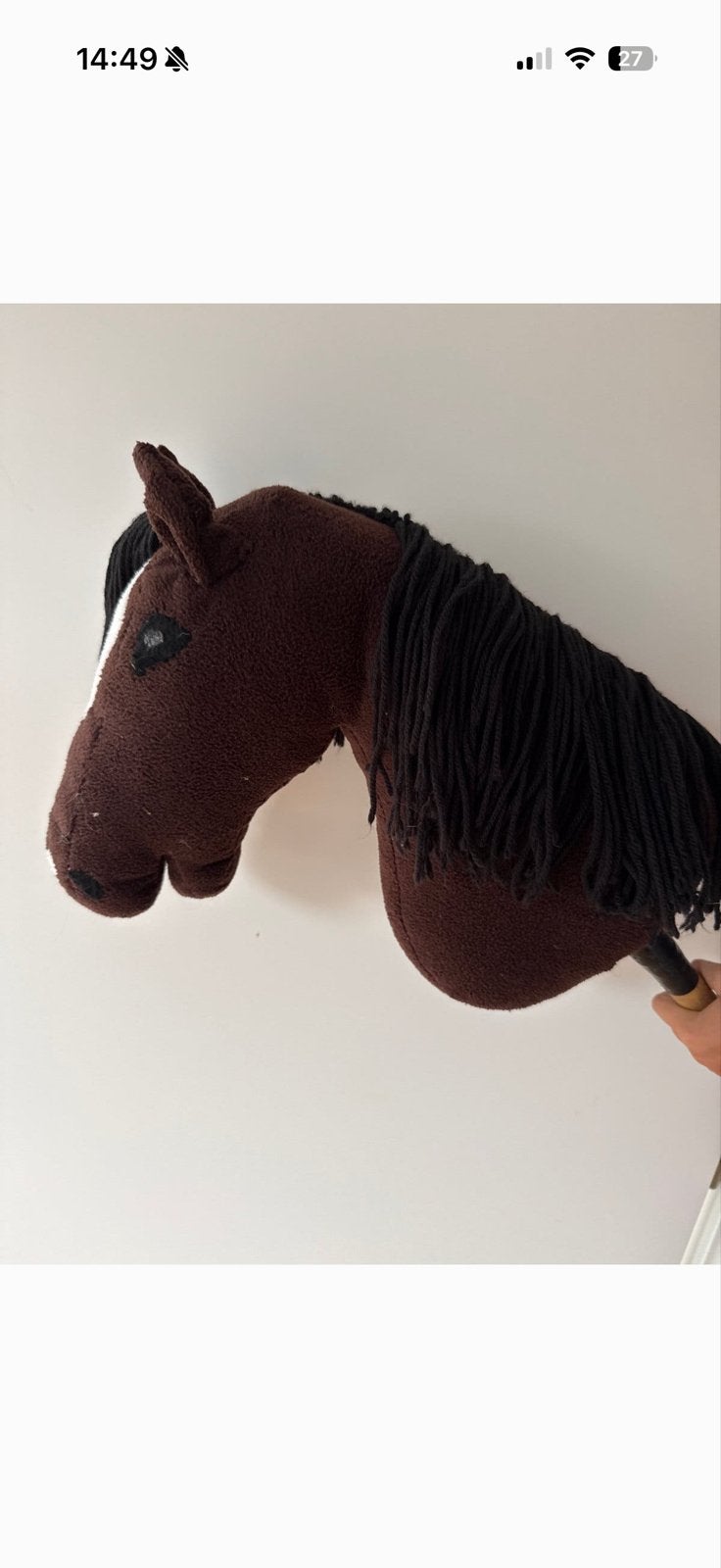 Hobby horse Browny, allrounder, houdt van bosritten, Ophalen of Verzenden, Gebruikt, Jongen of Meisje