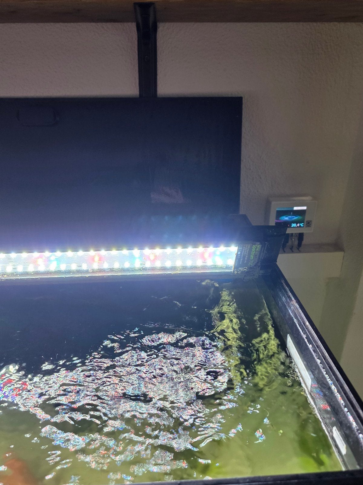 juwel lido 200 met helialux led 700, Overige typen, Zoetwatervis