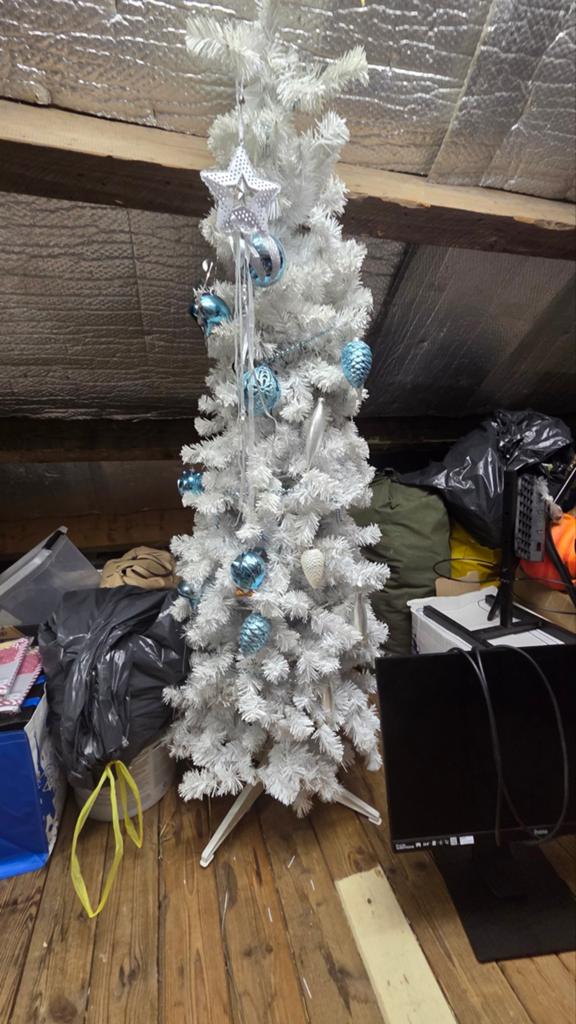Kerstboompje, Ophalen of Verzenden