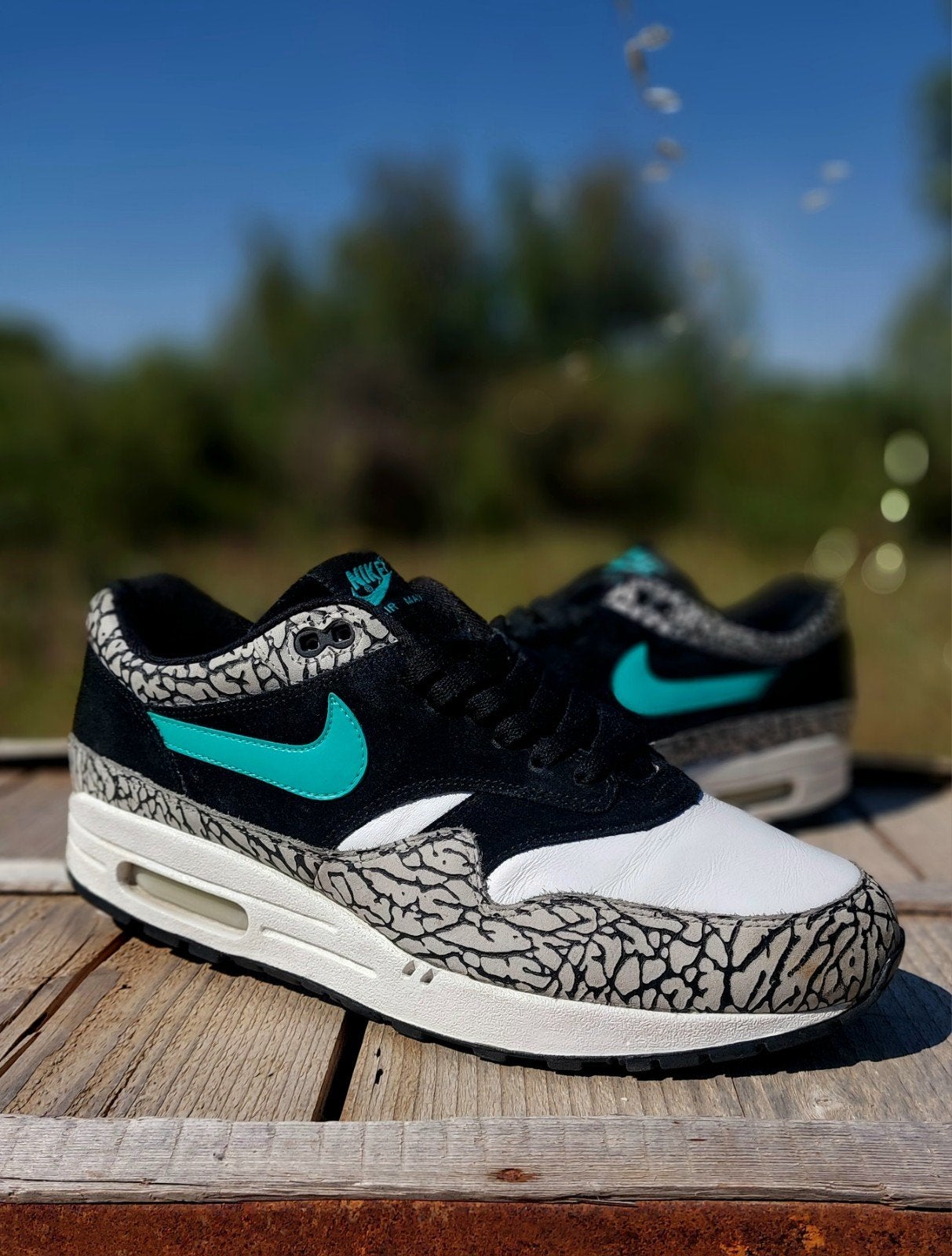 Nike air max 1 atmos elephant OG 2006 eu45 us11 patta id, Verzenden, Overige kleuren