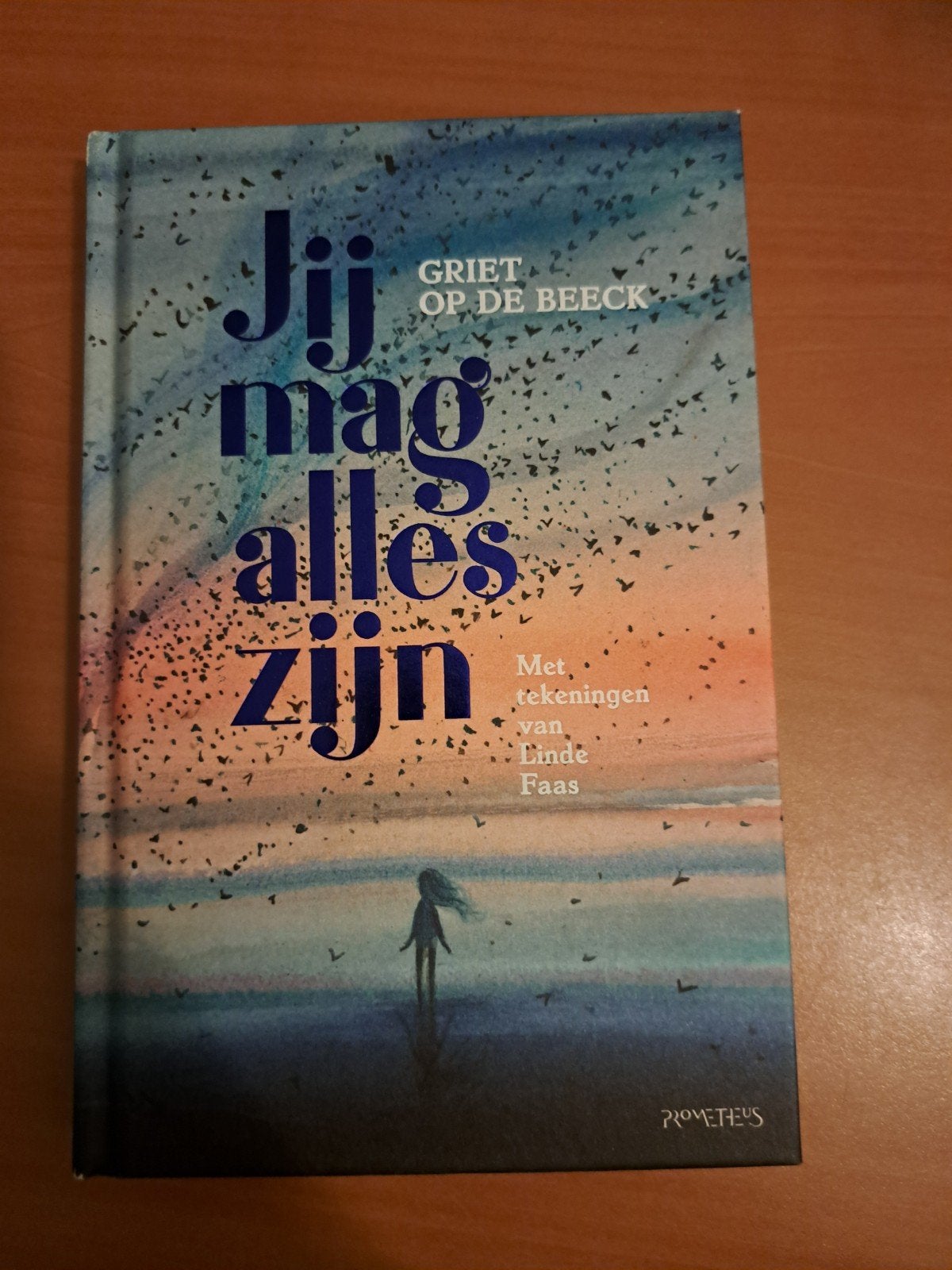 Jij mag alles zijn - Griet Op de Beeck (met tekeningen), Boeken, Ophalen of Verzenden, Zo goed als nieuw, Griet Op de Beeck, België