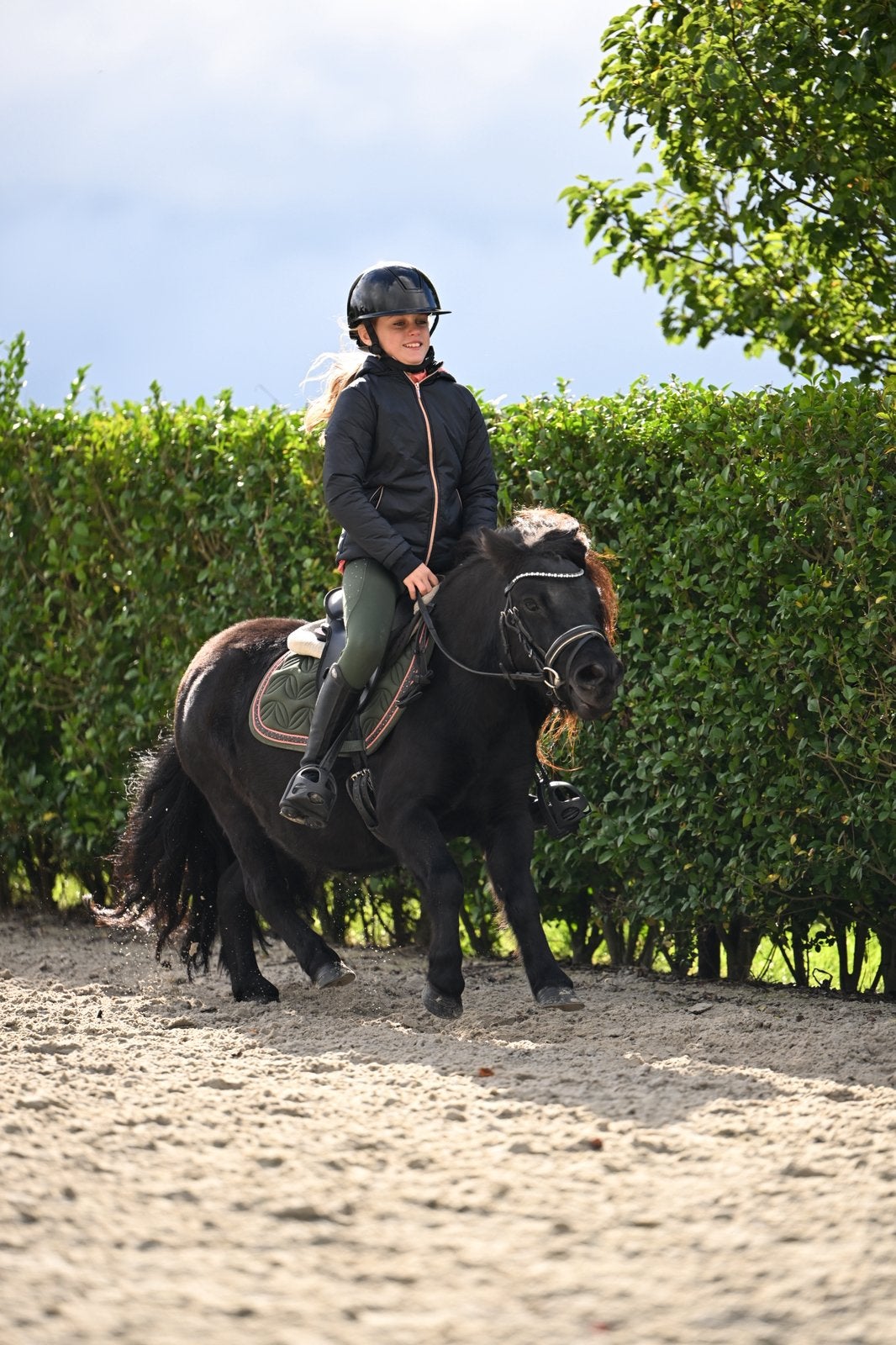 Mega schattige en lieve shetland merrie, Merrie, Met stamboom, Zadelmak, A pony (tot 1.17m)