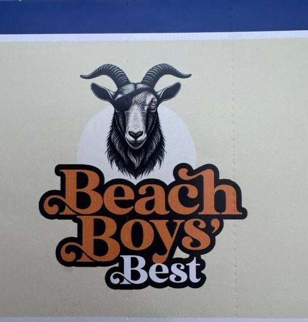 Beach Boys Best Arnhem 8-6-26 - 2 tickets, Tickets en Kaartjes, Twee personen, Juni