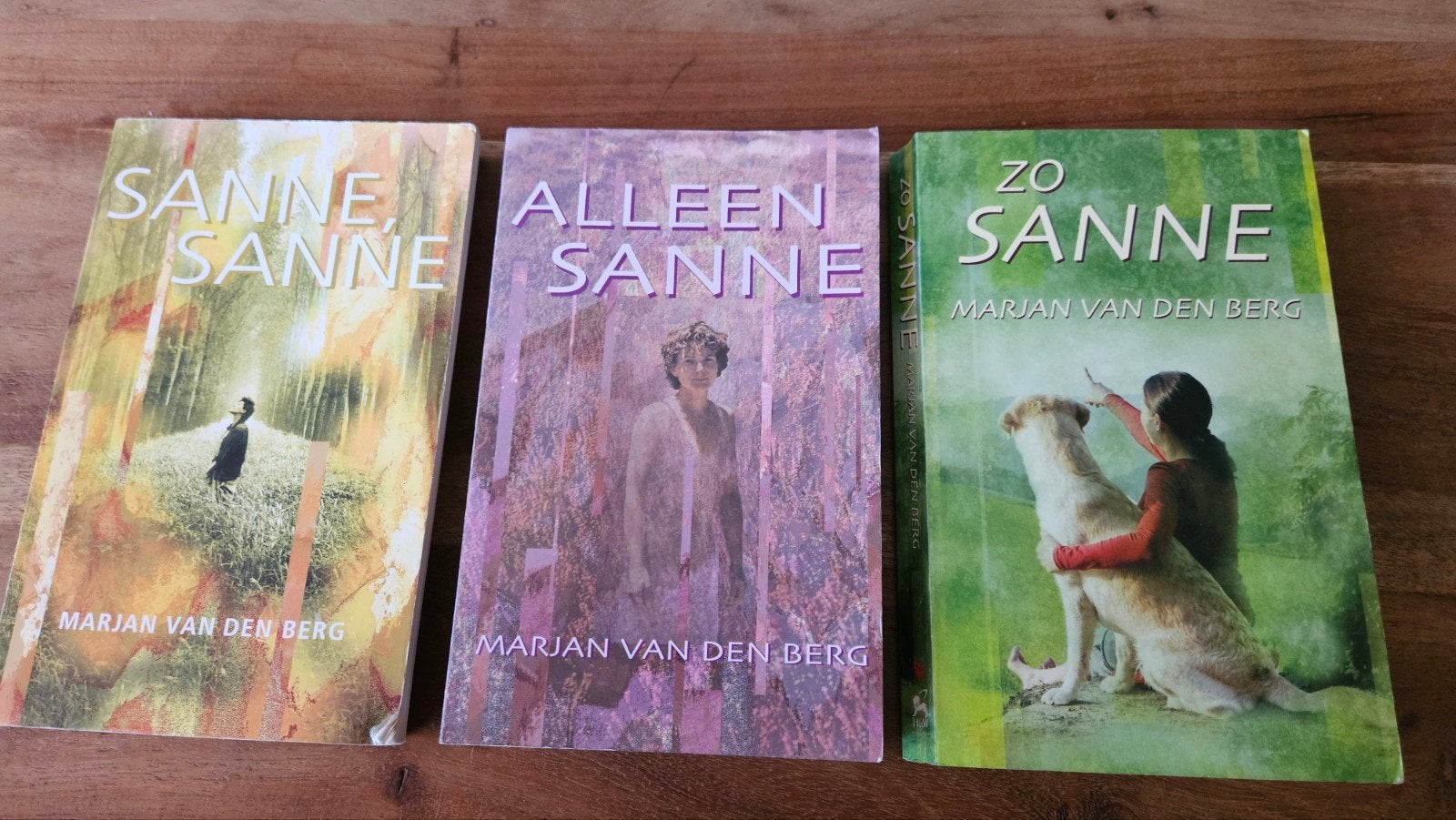 Sanne boekenreeks - Marjan van den Berg (3 boeken), Ophalen of Verzenden, Gelezen, Marjan van den Berg, Nederland