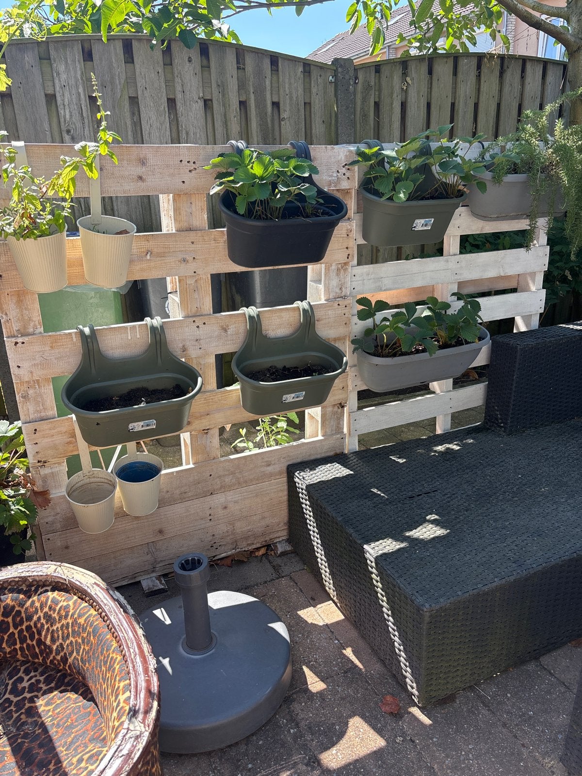 Verticale Tuin-Plantenwand van Pallet voor Balkon of Tuin, Ophalen, Zo goed als nieuw, Rechthoekig, Tuin