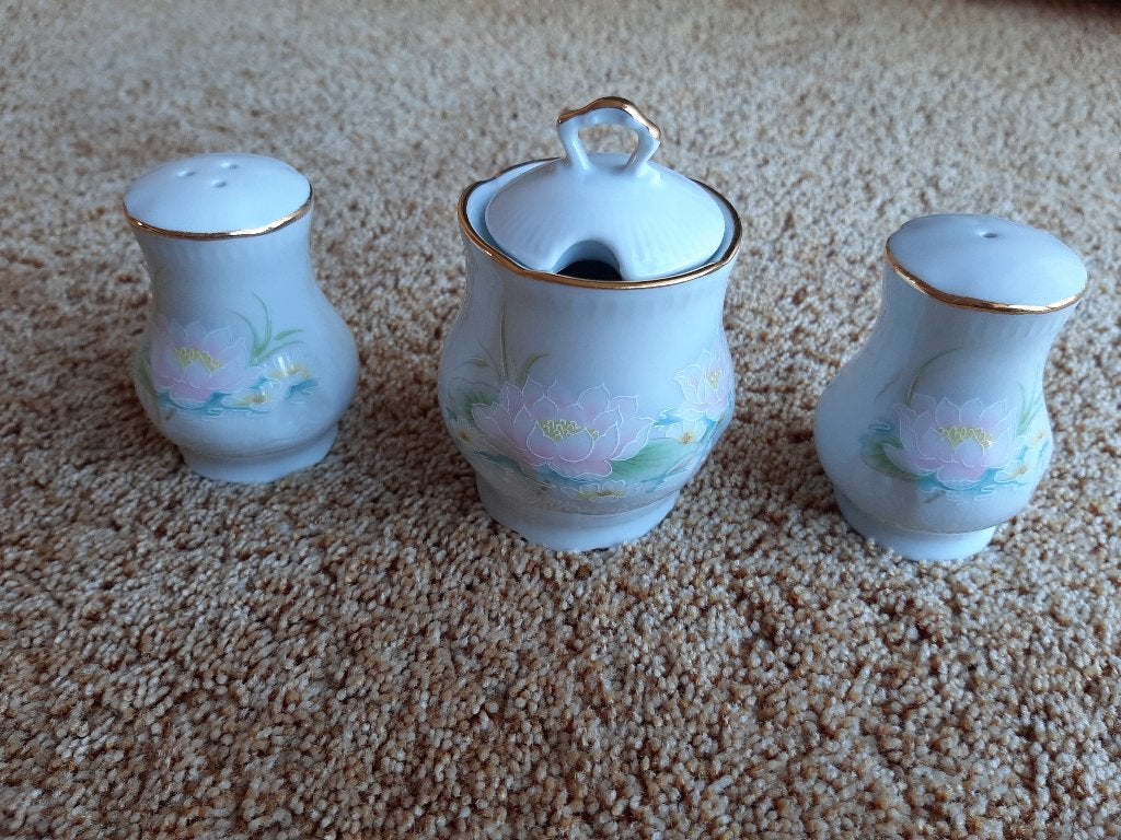 Nieuwe niet gebruikte limoges porseleinen set, Ophalen of Verzenden