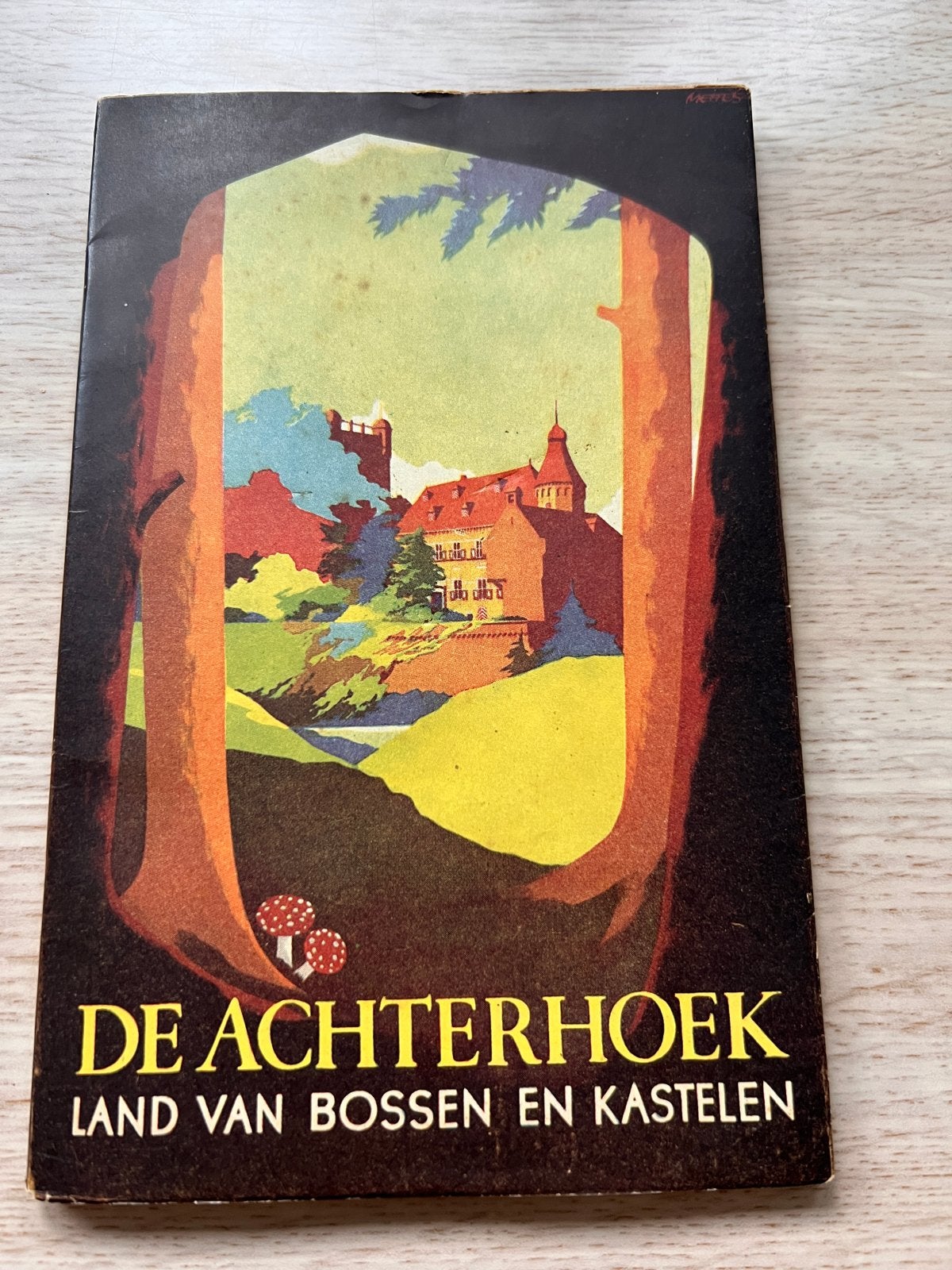 De Achterhoek: Land van Bossen en Kastelen (1949) + Suppleme, Ophalen of Verzenden, Reisgids of -boek, Benelux, Gelezen