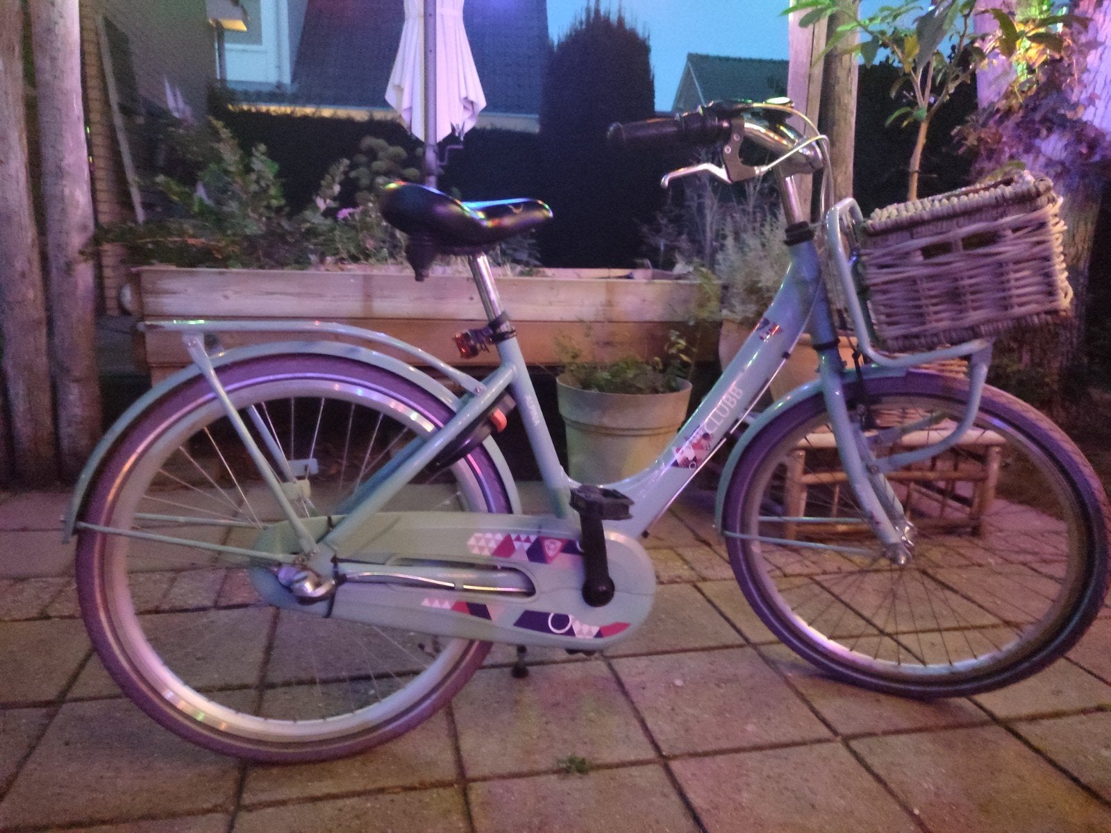 Leuke Alpina Clubb fiets met paarse banden, Ophalen, Terugtraprem, Alpina Clubb, Versnellingen