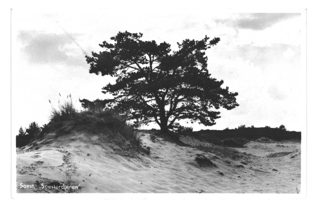 948559 Soest Utr 1953 Soesterduinen Gelopen met postzegel, Ophalen of Verzenden, 1940 tot 1960, Gelopen, Waddeneilanden
