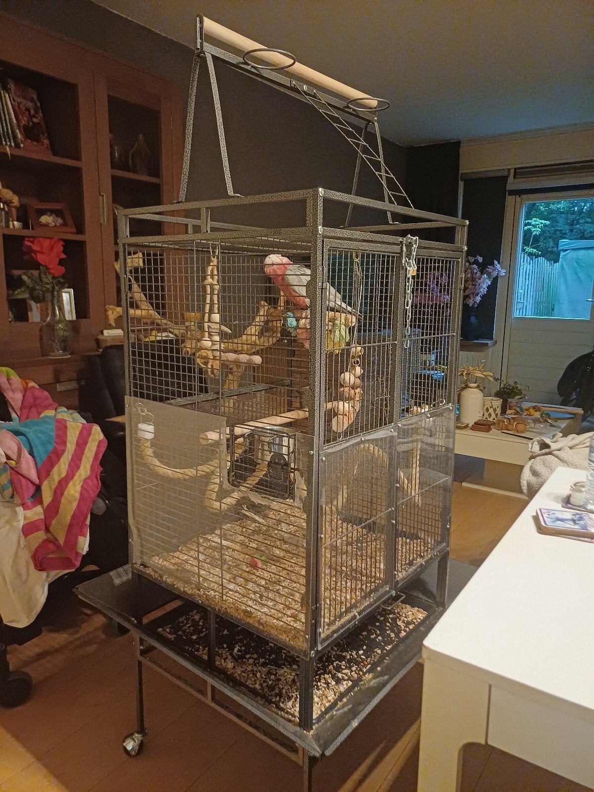 vogelkooi, Ophalen, Zo goed als nieuw, Metaal, Vogelkooi