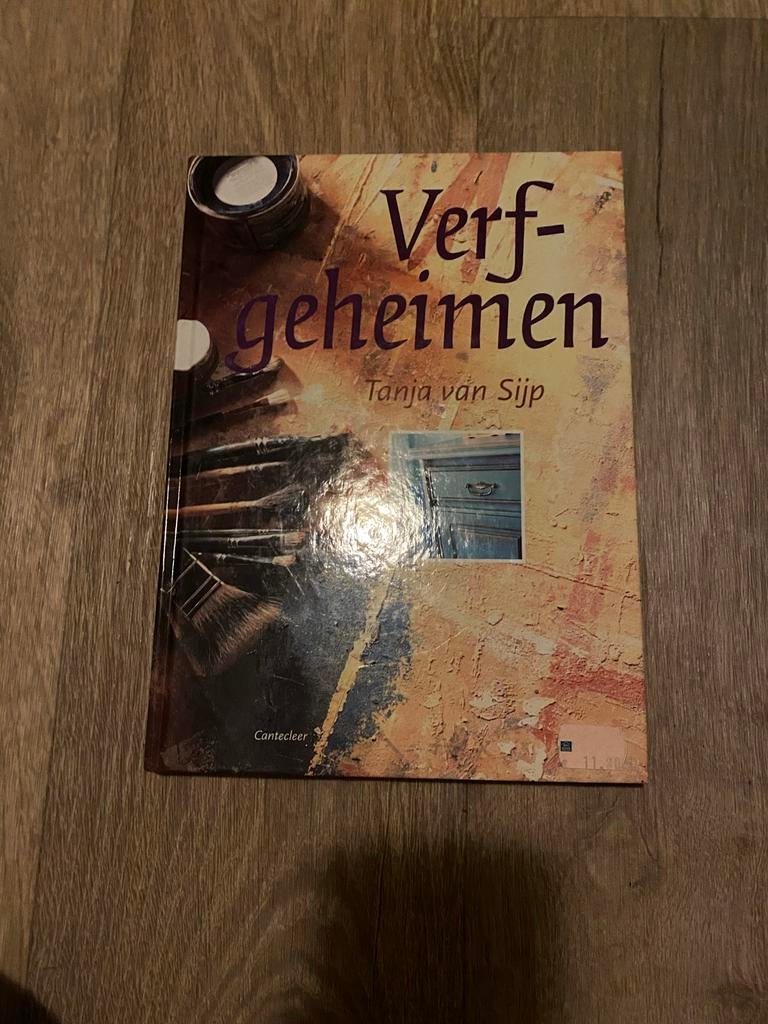 Verfgeheimen - Tanja van Sijp (Boek over schildertechnieken), Ophalen of Verzenden, Zo goed als nieuw, Overige onderwerpen