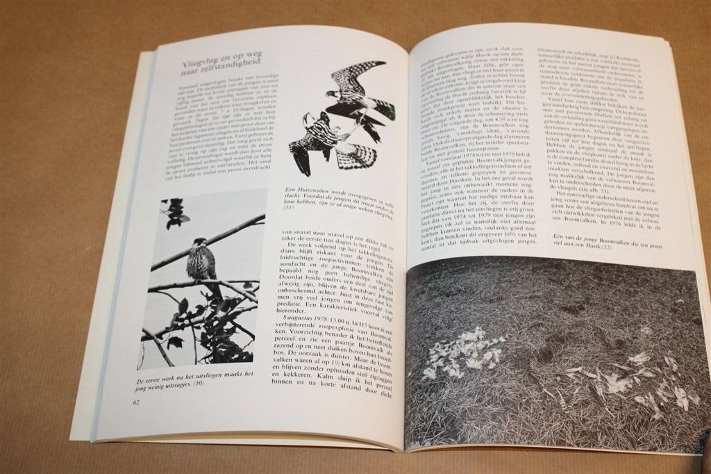 De Boomvalk — Bijlsma, Vogelmonografie Roofvogel, Boeken, Ophalen of Verzenden, Gelezen