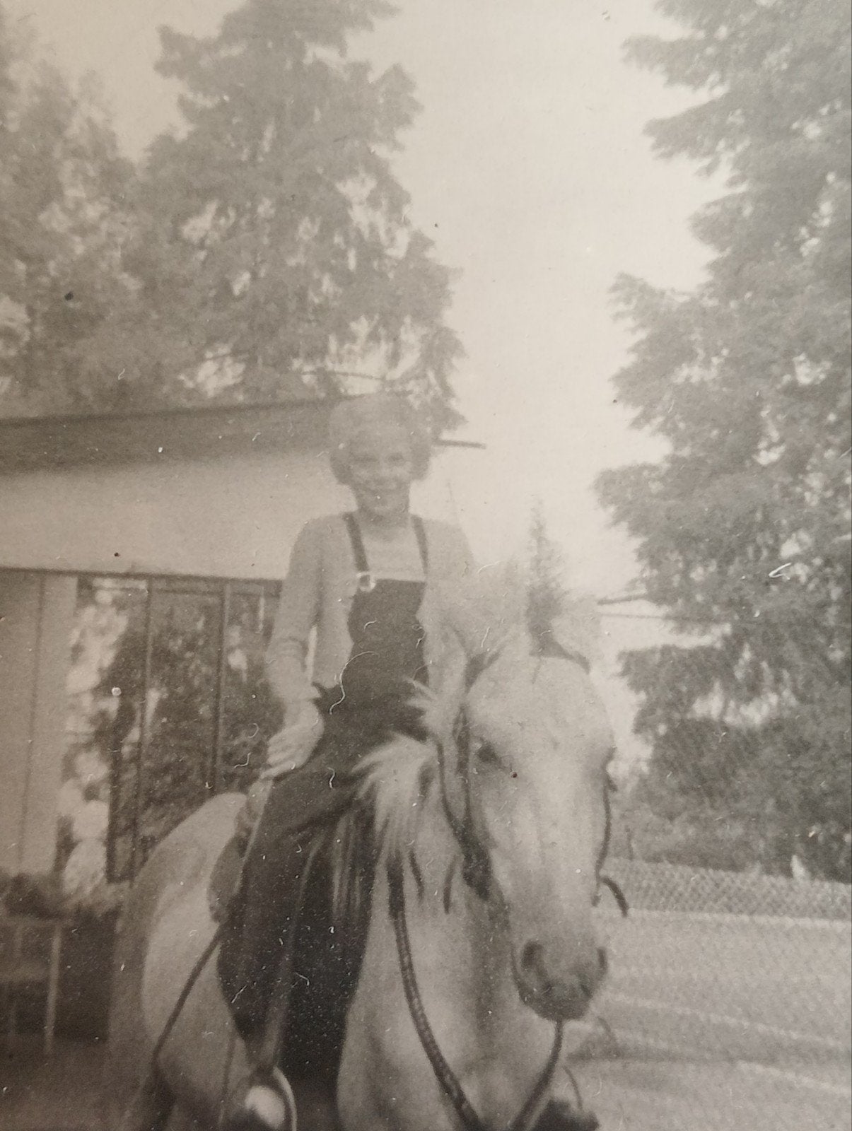 Ruiter te paard jaren 40-60, Ophalen of Verzenden, 1940 tot 1960, Gebruikt
