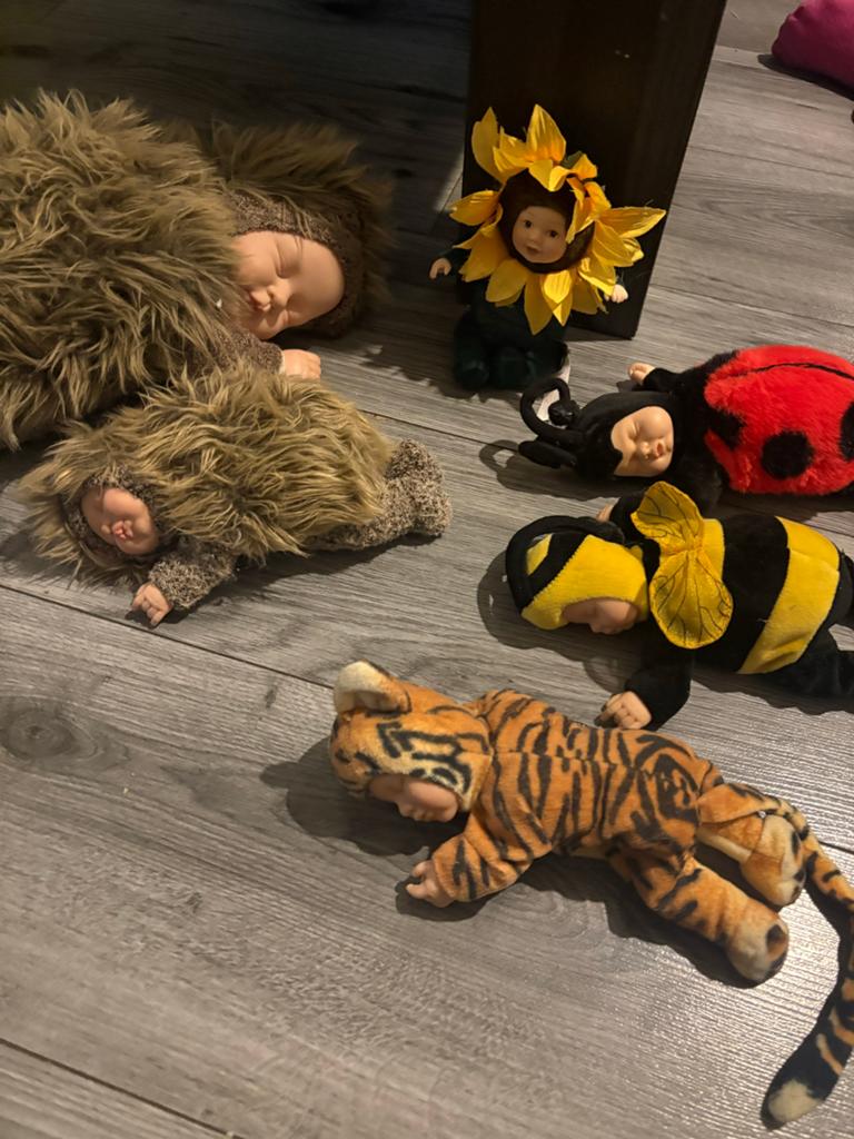 Anne Geddes Babypoppen Verzameling - Diverse Kostuums, Ophalen of Verzenden, Zo goed als nieuw, Babypop