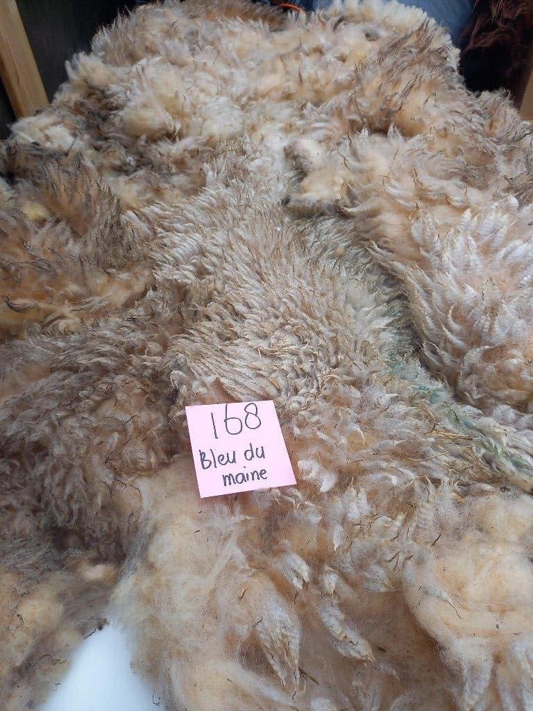 nr 168 Geschoren vacht van een Bleu du Maine schaap, Ophalen of Verzenden, Gebruikt